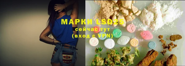 стафф Приозерск