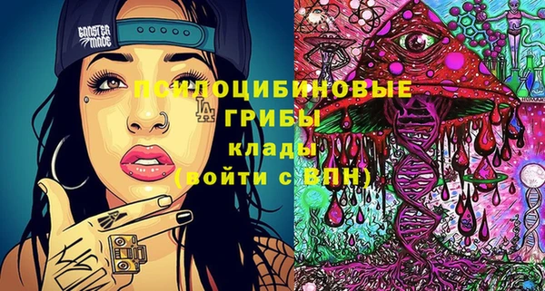 спиды Протвино