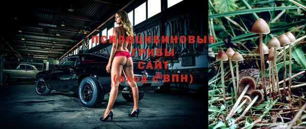гидропоника Пролетарск