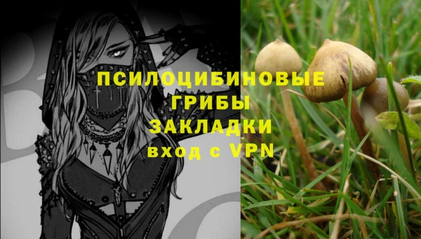 гидропоника Пролетарск