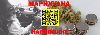 сатива Апшеронск