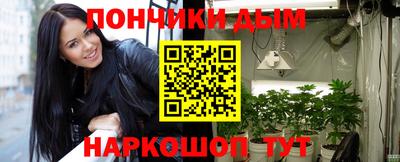 дмт Можга