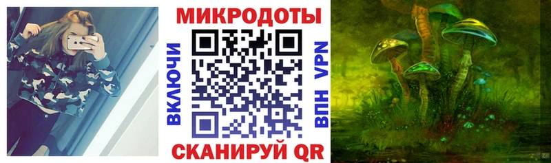 Купить где  Пенза  Галлюциногенные грибы Psilocybe 