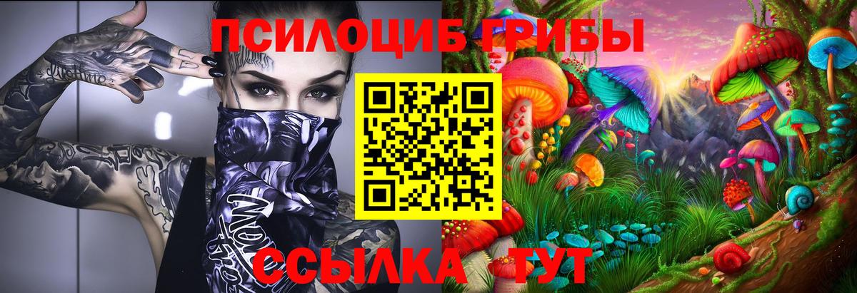 Галлюциногенные грибы мицелий Пенза