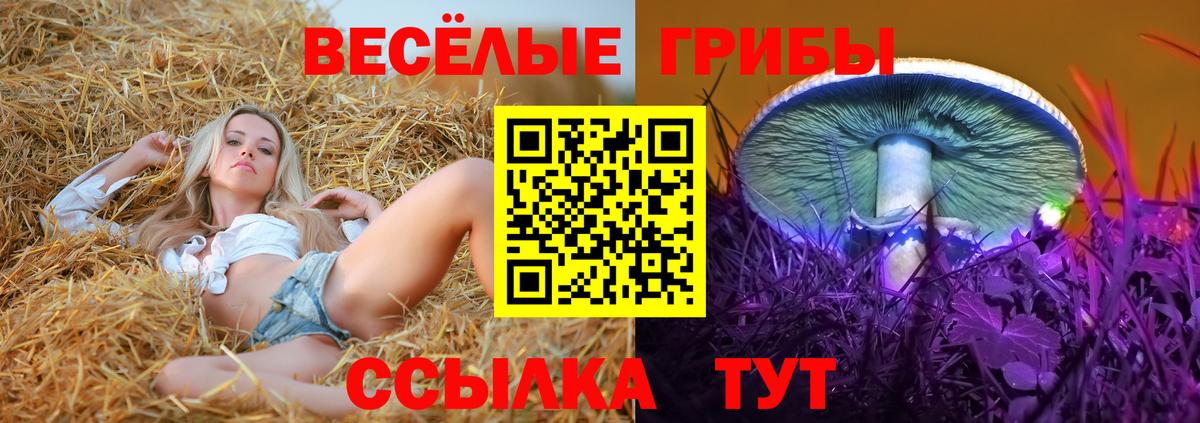 Галлюциногенные грибы MAGIC MUSHROOMS Пенза
