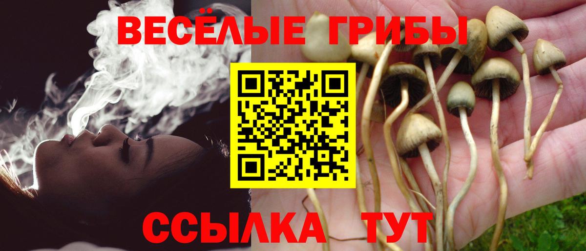 закладка  Галлюциногенные грибы Psilocybine cubensis  Вход с VPN  Пенза 